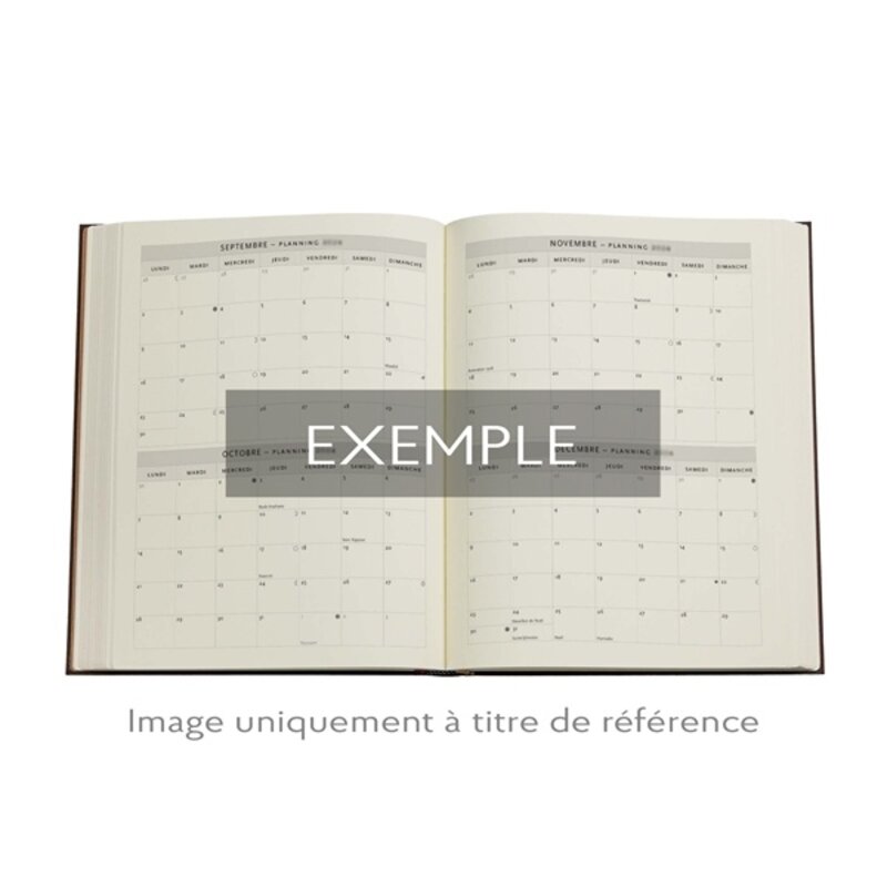 PAPERBLANKS Agenda 1 jour/page - 2026 12-Mois Flexis Fiammetta Ultra