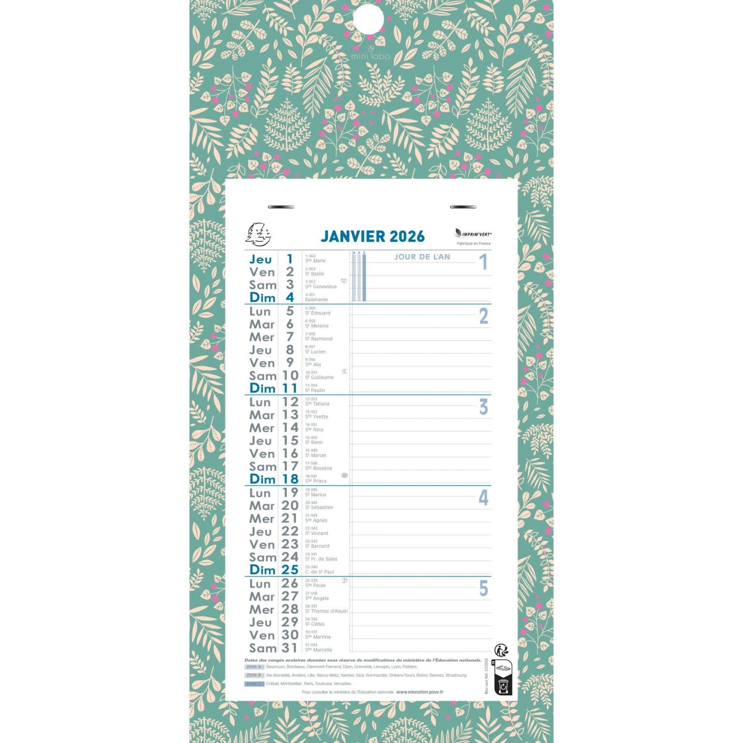 EXACOMPTA Calendrier mensuel Mini Labo avec feuillets détachables 13 x 23 cm sur support plaque imprimée 16 x 33 cm 2026 - Modèles aléatoires