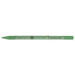 SENNELIER Crayon Pastel gris vert mousse 173