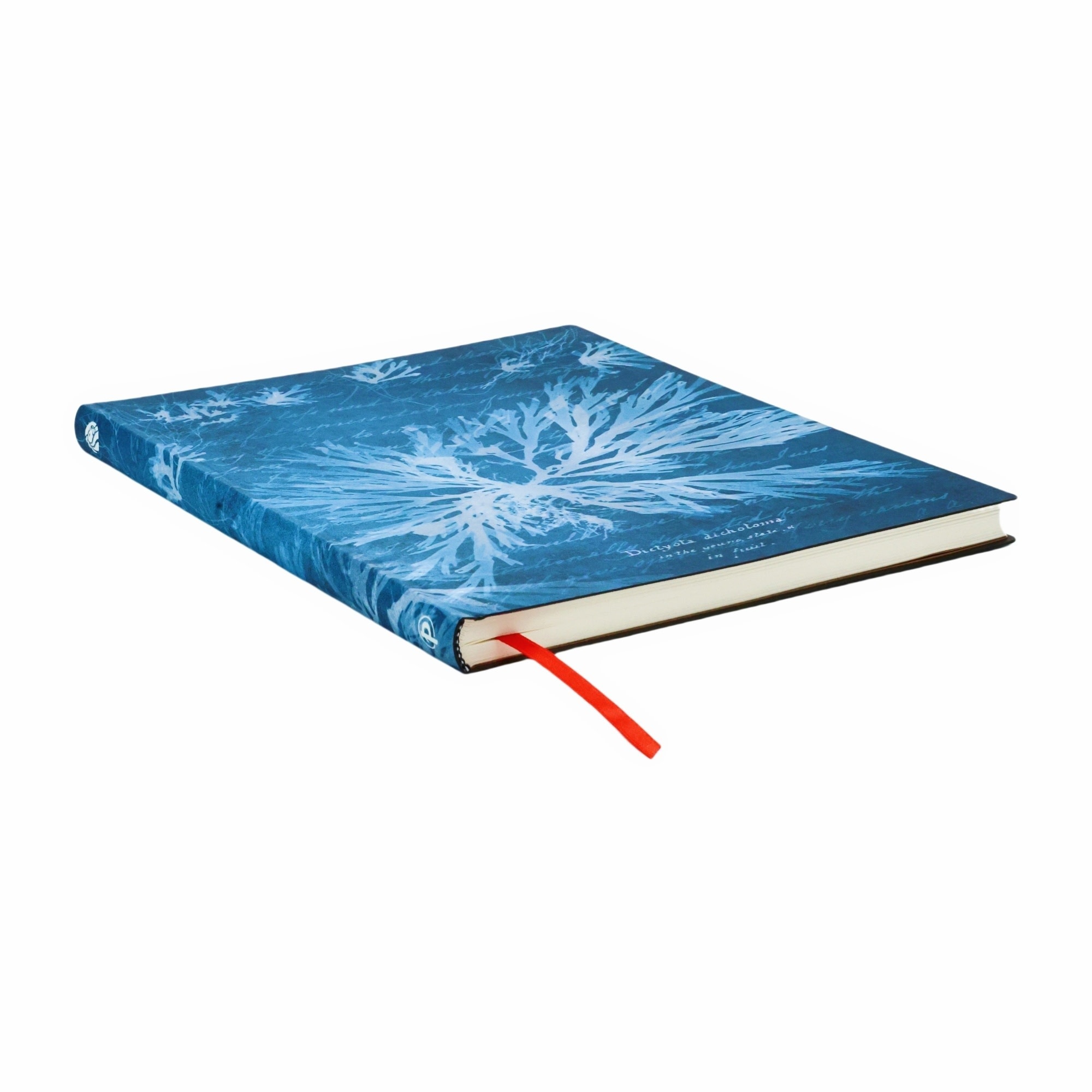 PAPERBLANKS Carnets Flexis à couverture souple Fleurs Marines Ultra Ligné