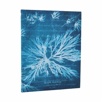 PAPERBLANKS Carnets Flexis à couverture souple Fleurs Marines Ultra Ligné