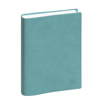 EXACOMPTA Agenda de bureau EasyDay Journal 17 Ondine 12 x 17 cm Journalier Janvier à décembre 2026 - Couleurs assorties