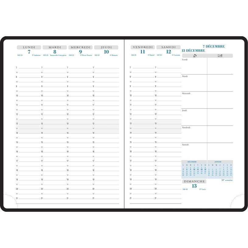 EXACOMPTA Agenda de bureau Visuel Amélie 15 x 21 cm Semainier Janvier à Décembre 2025 - Couleurs assorties