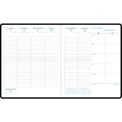 EXACOMPTA Agenda de bureau Horizons 22 Amélie 22,5 x 18,5 cm Semainier - Couleurs aléatoires