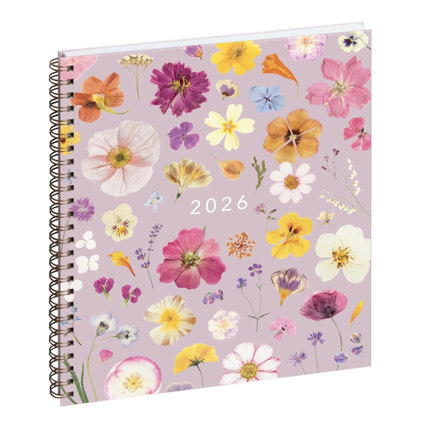 EXACOMPTA Agenda de bureau Eurotime 22W spiralé Chemin des Marettes recyclé 18,5 x 22,5 cm Semainier Rose