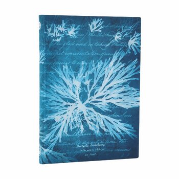PAPERBLANKS Carnets Flexis à couverture souple Fleurs Marines Midi Ligné