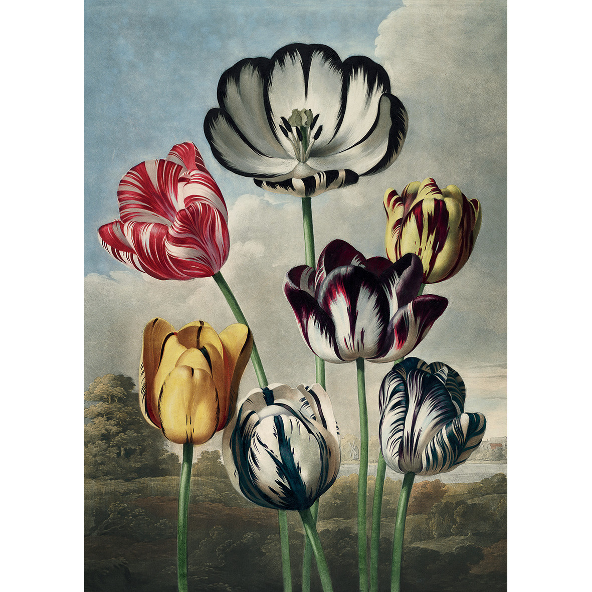 KIUB Puzzle 1000 Pcs + Pochon The Dybdahl V Tulipes