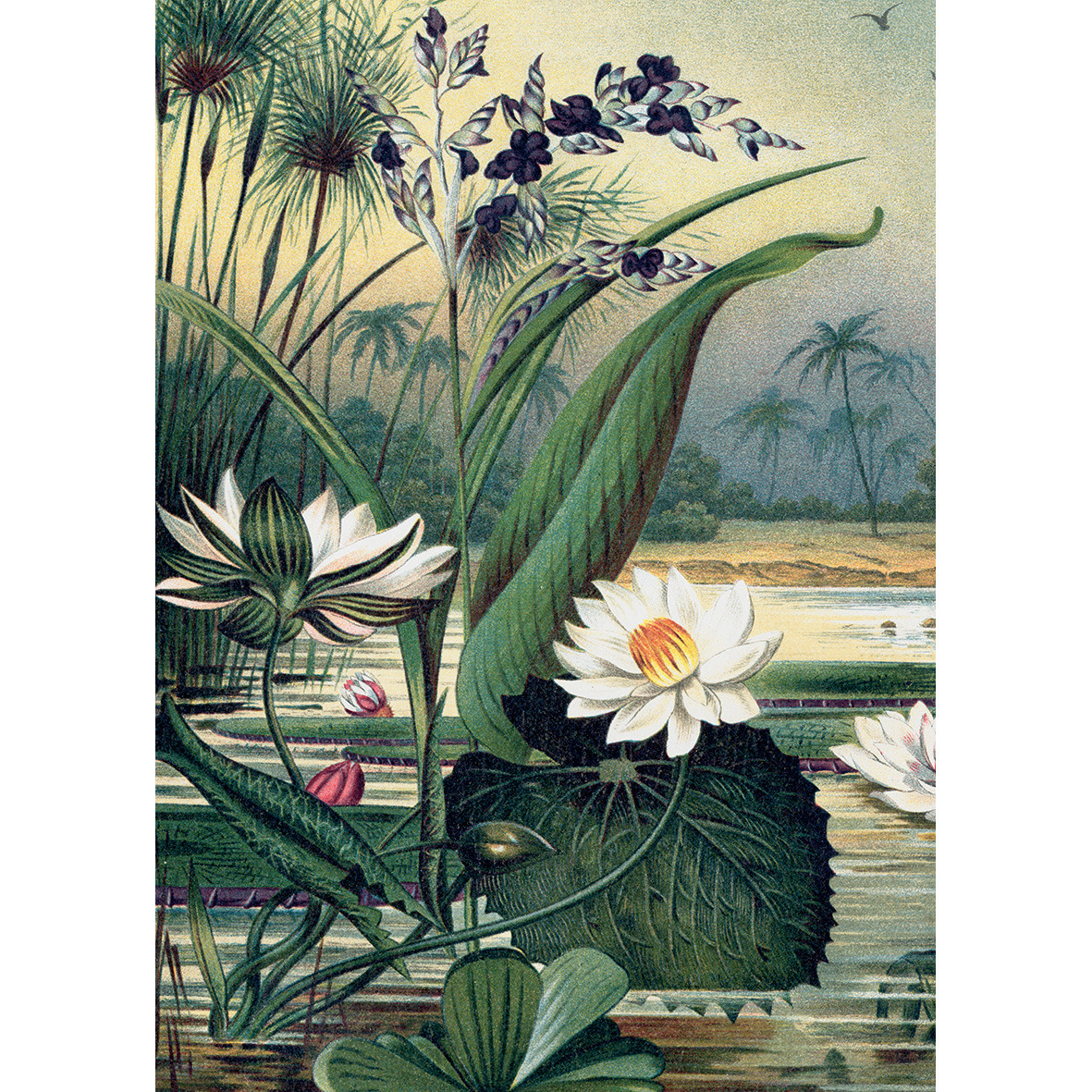 KIUB Puzzle 1000 Pcs + Pochon The Dybdahl V Nenuphars