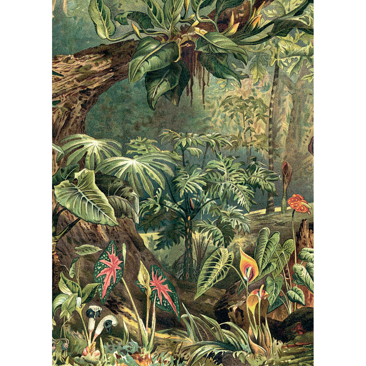 KIUB Puzzle 1000 Pcs + Pochon The Dybdahl V Jungle