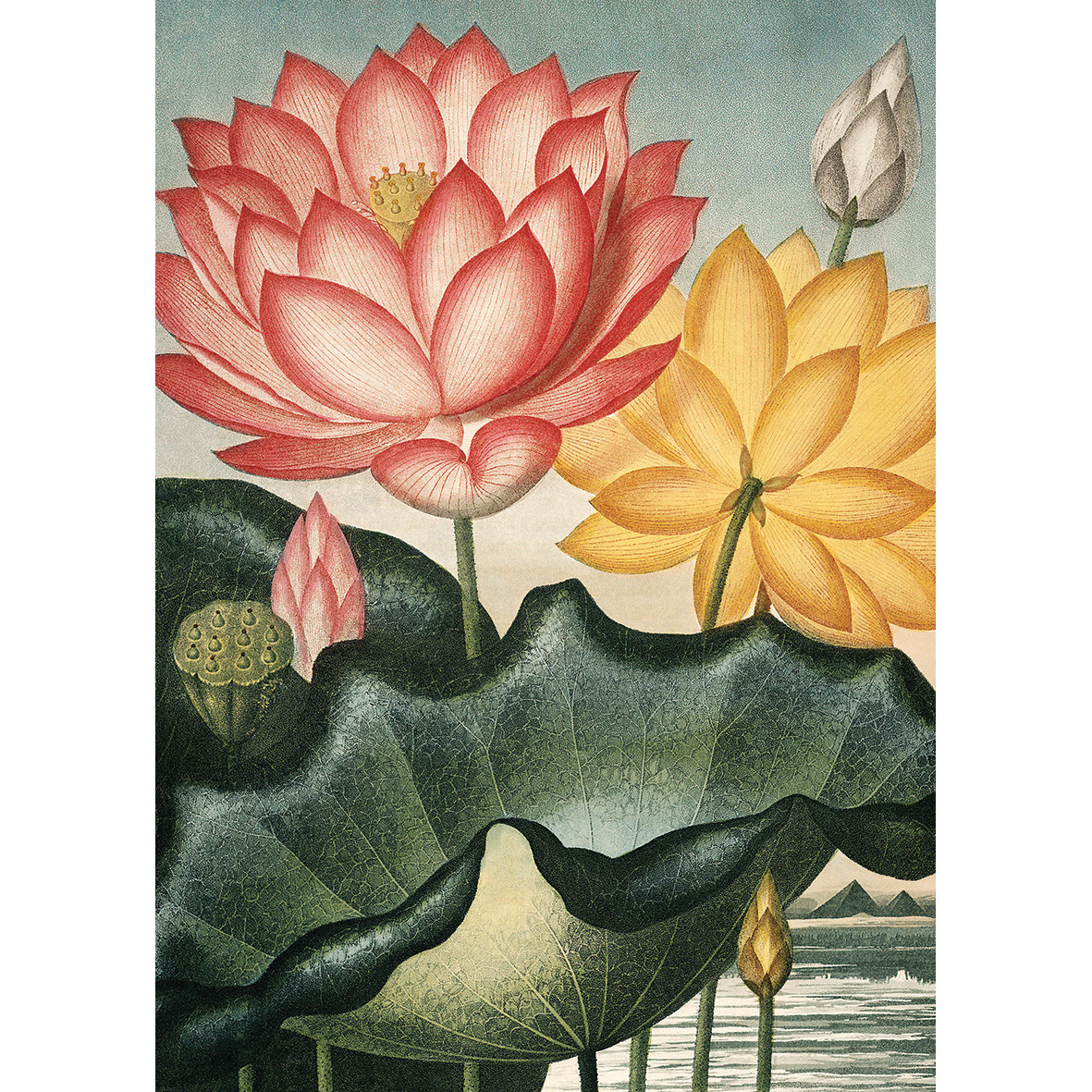 KIUB Puzzle 1000 Pcs + Pochon The Dybdahl V Fleurs