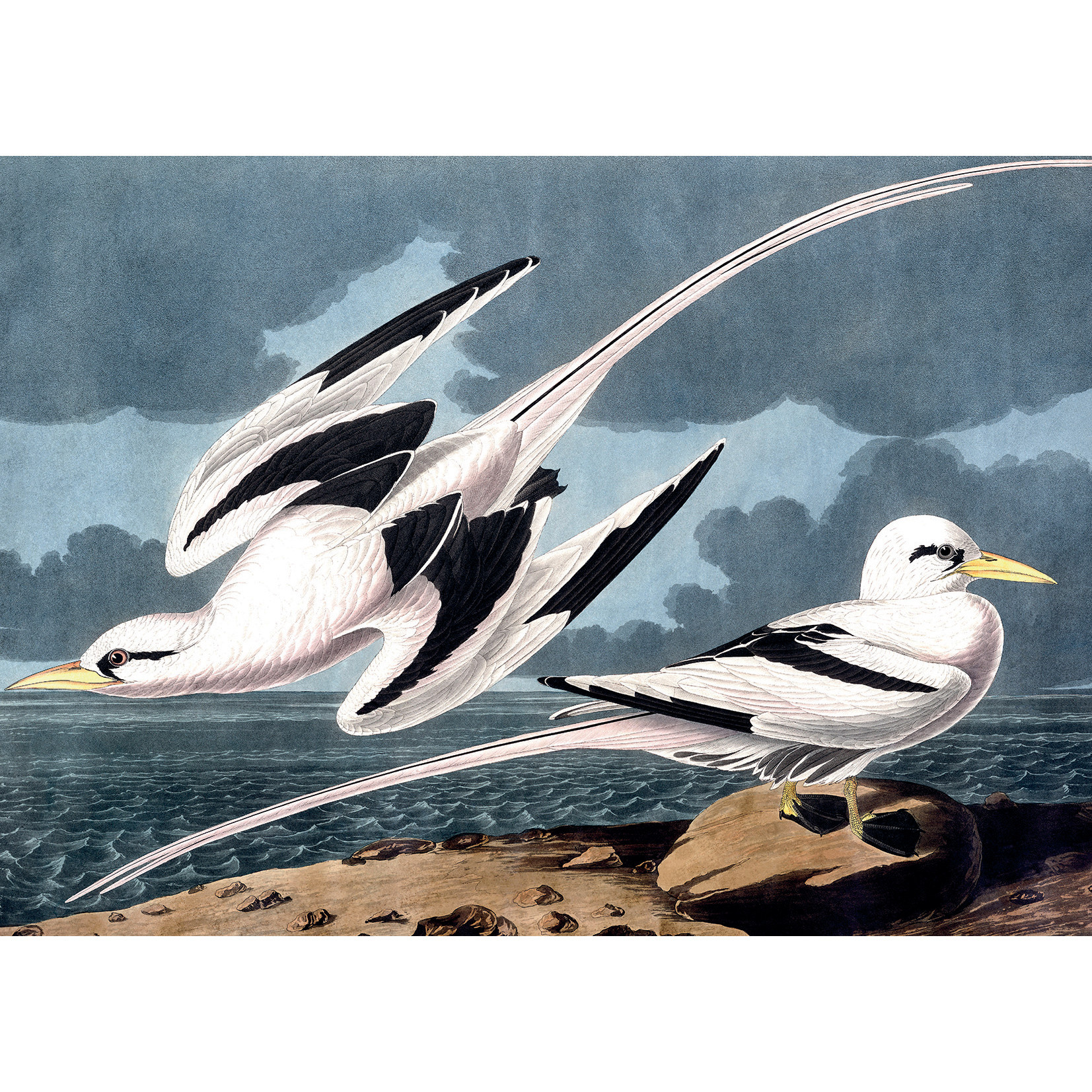 KIUB Puzzle 1000 Pcs + Pochon The Dybdahl H Mouettes