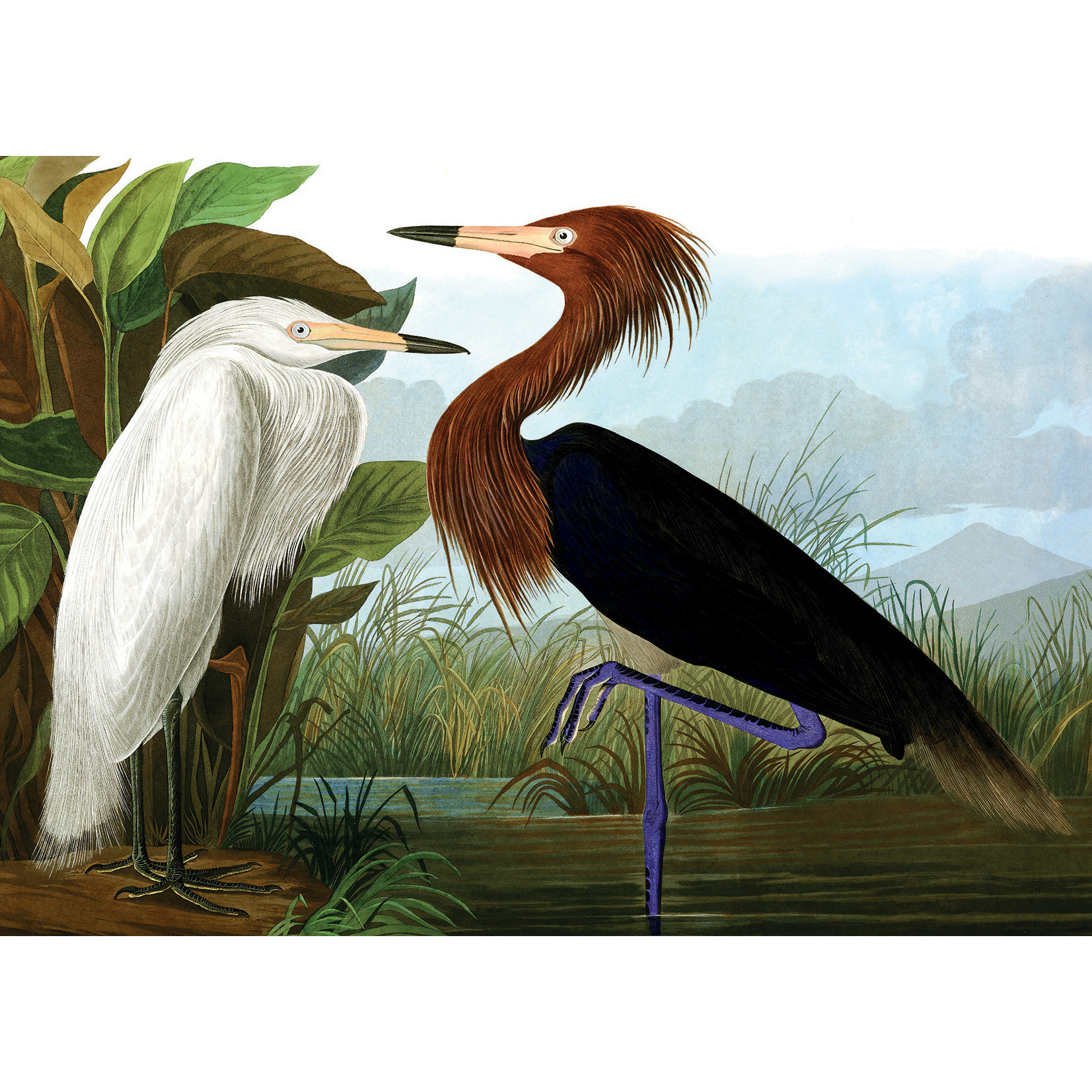 KIUB Puzzle 1000 Pcs + Pochon The Dybdahl H Hérons