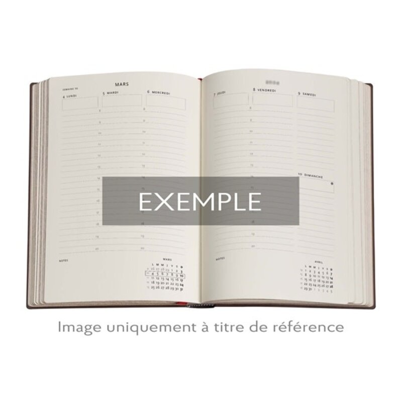 PAPERBLANKS Agenda Semainier Vertical - 2026 12-Mois Michelangelo Handwriting Midi
