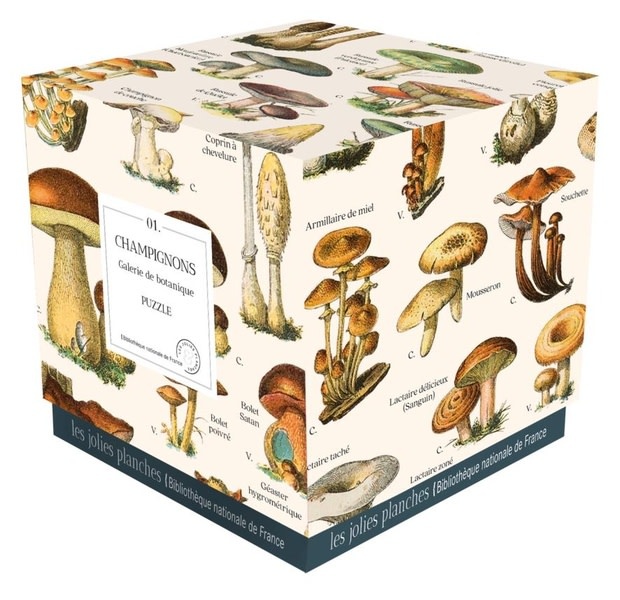 LES JOLIES PLANCHES Puzzle Champignons 1000 Pièces