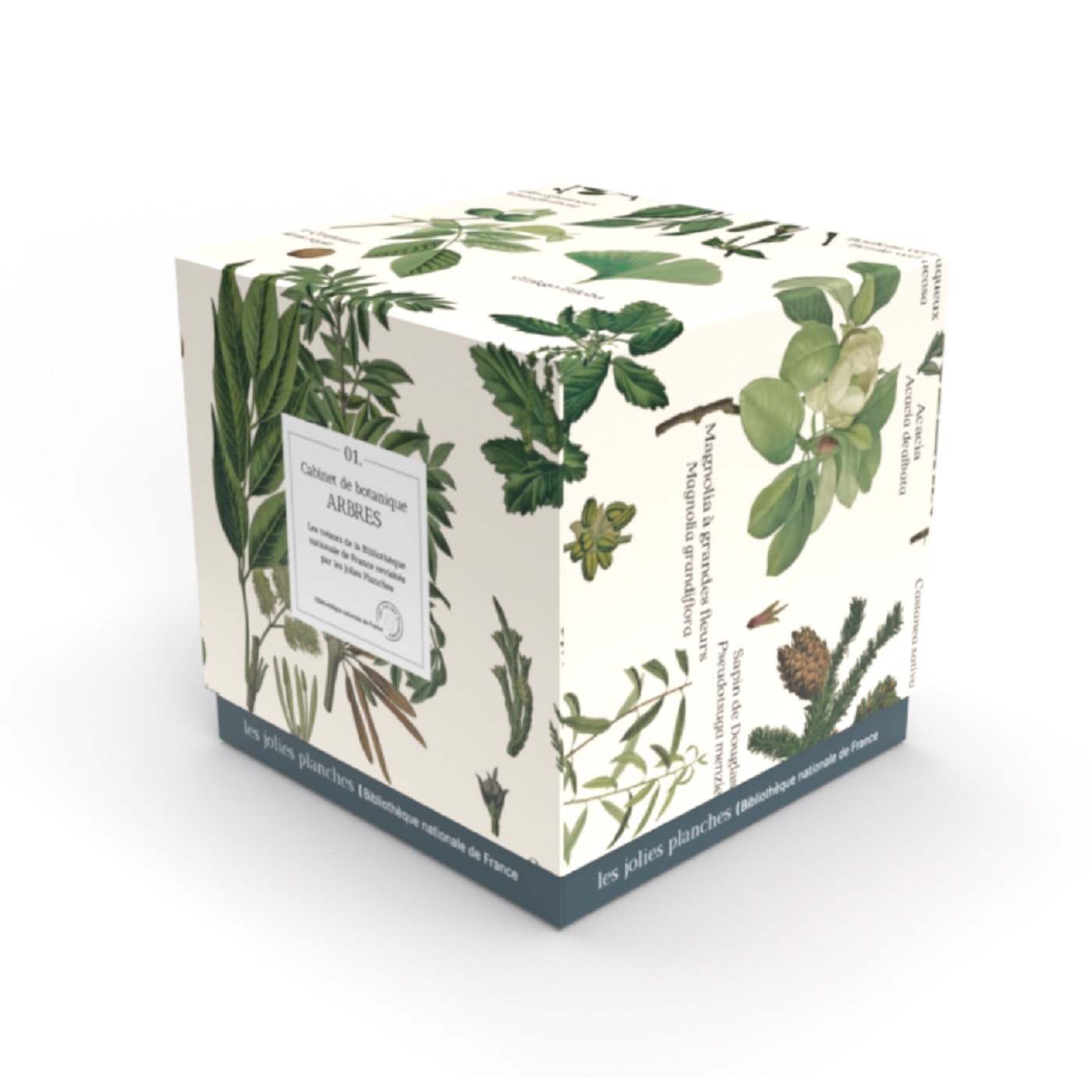 LES JOLIES PLANCHES Puzzle - Arbre - 1000 pièces