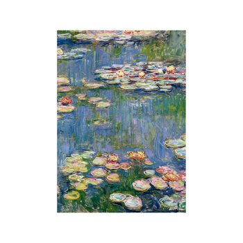 EDITIONS DU DESASTRE Le Musee - Cahier 15x21cm 48p lignées 80g - Monet - Nympheas