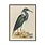 LES JOLIES PLANCHES Planche Oiseau bleu