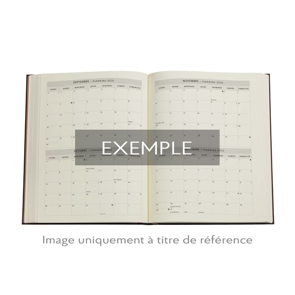PAPERBLANKS Agenda 1 jour/page - 2026 12-Mois Flexis Restoration Ultra