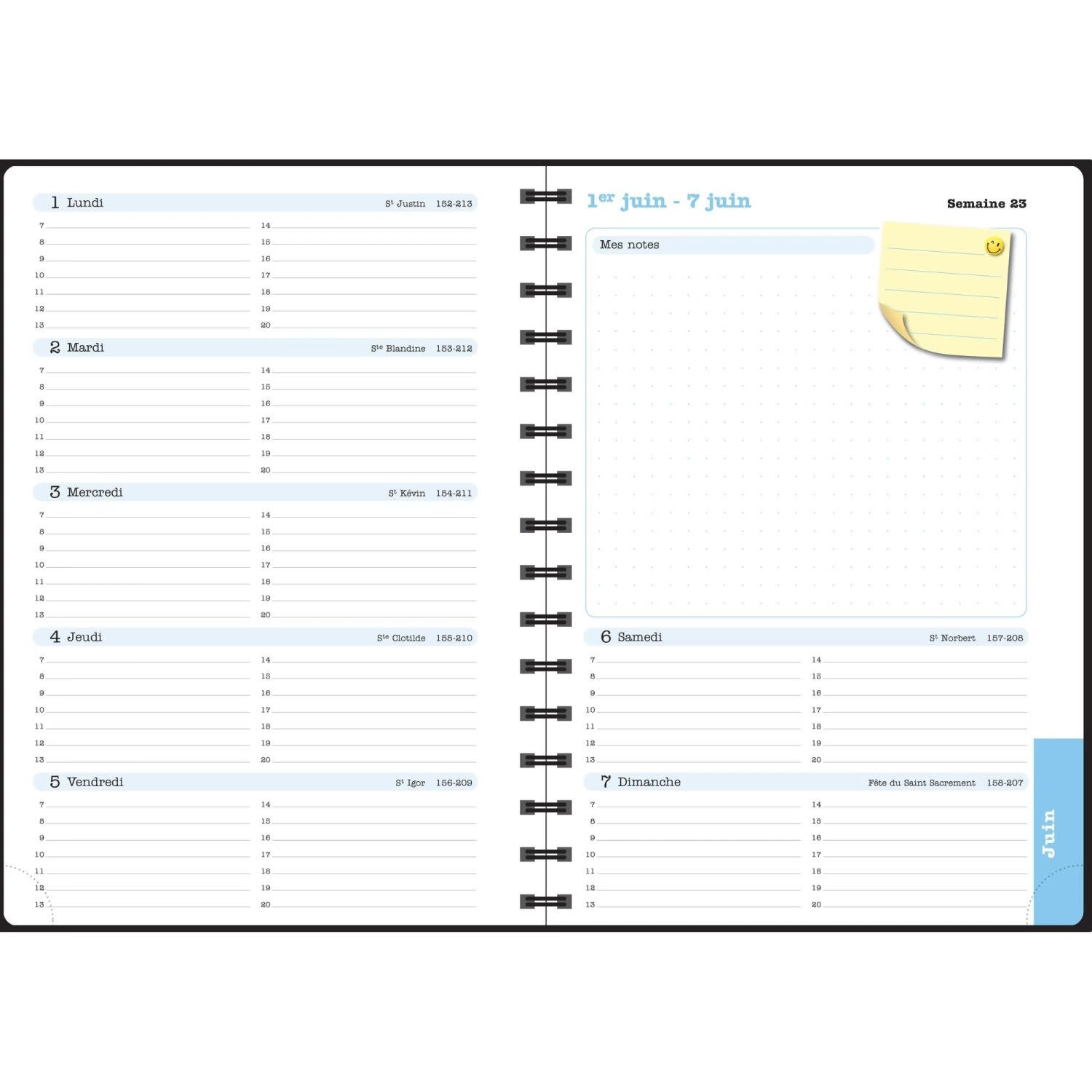 EXACOMPTA Agenda de bureau Lady 20S spiralé Sophie Adde Fleurs 15 x 21 cm Semainier Janvier à Décembre 2026