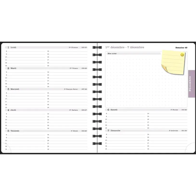 EXACOMPTA Agenda de bureau Lady 18S spiralé Sophie Adde Oranges 15 x 17 cm Semainier Janvier à Décembre 2026