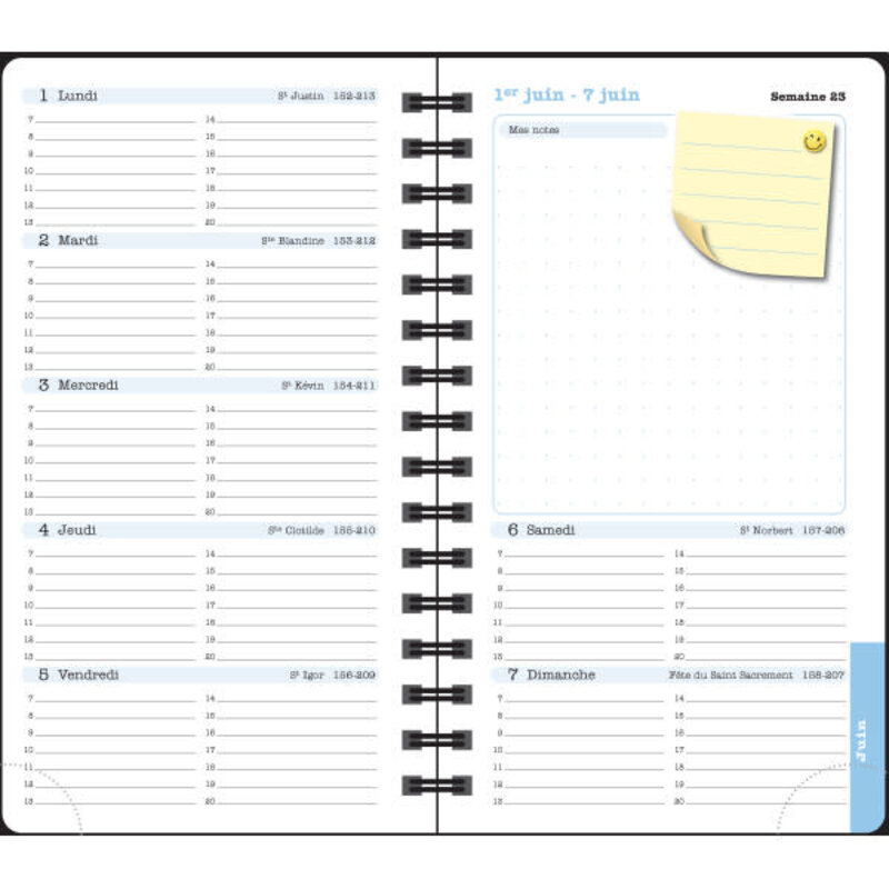 EXACOMPTA Agenda de poche Lady 16S spiralé Sophie Adde Chats 9 x 16 cm Semainier janvier à décembre 2025