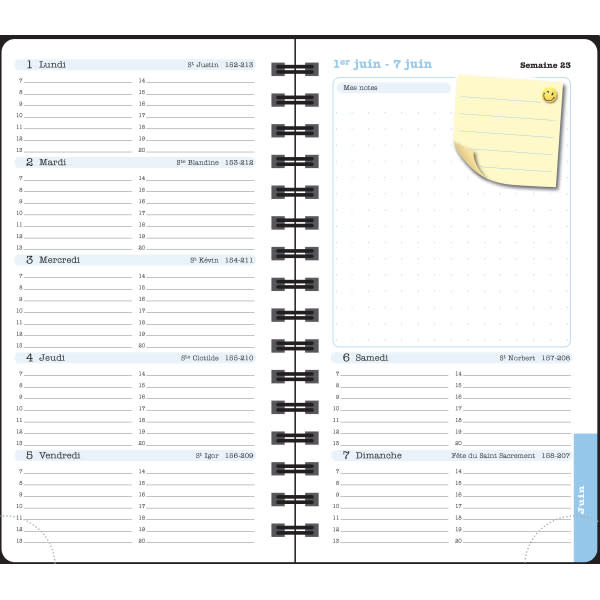 EXACOMPTA Agenda de poche Lady 16S spiralé Sophie Adde Chats 9 x 16 cm Semainier janvier à décembre 2025