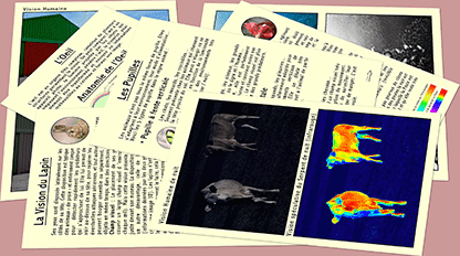 MARC VIDAL Dans les Yeux des Animaux