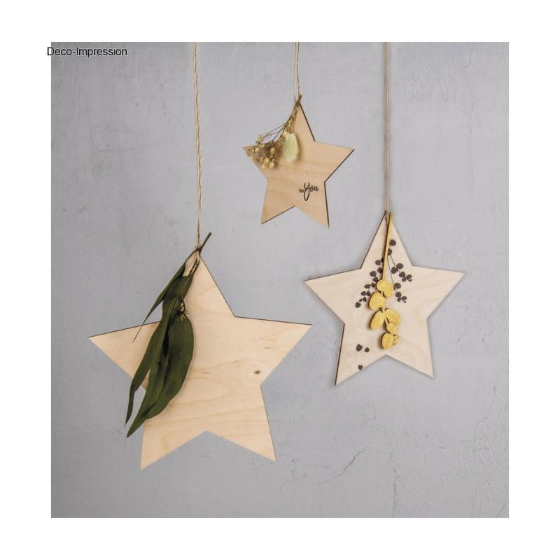 RAYHER Déco en bois Etoile, FSC Mix Credit, nature, 12+15+20cm ø, + ficelle, sct.-LS 3pces