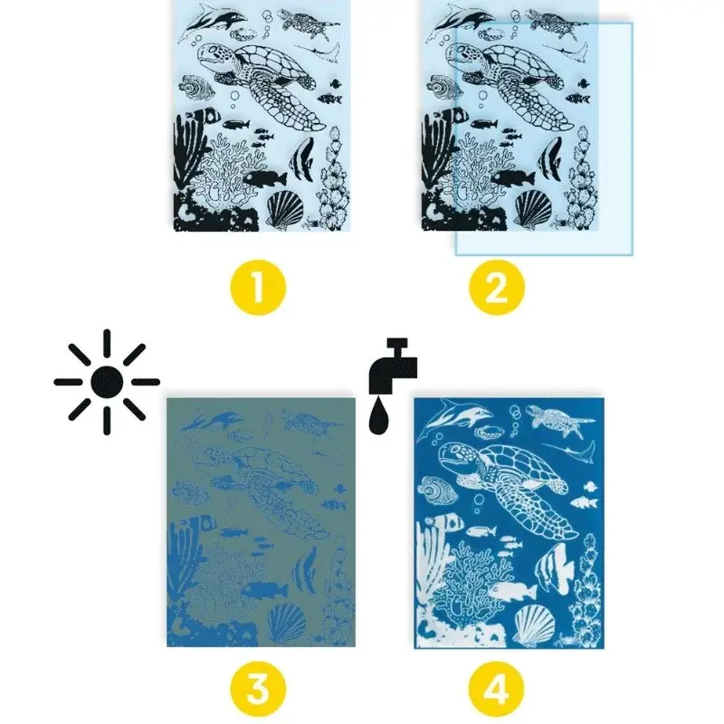 DJECO Cyanotype Outremer - Les Plus Grands - Ateliers