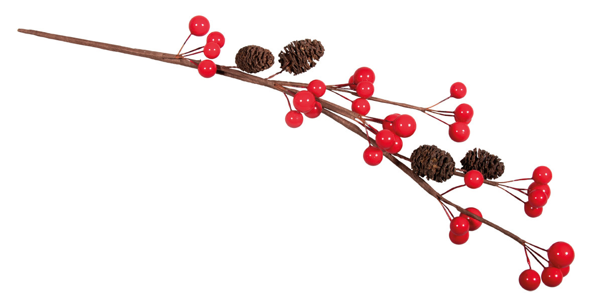 RAYHER Branche de baies avec cônes d'aulne