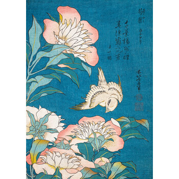 EDITIONS DU DESASTRE LE MUSEE - Cahier A5 - Hokusai - Canari