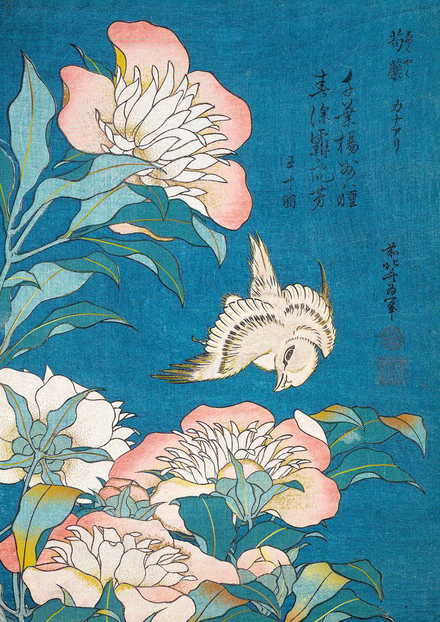 EDITIONS DU DESASTRE LE MUSEE - Cahier A5 - Hokusai - Canari