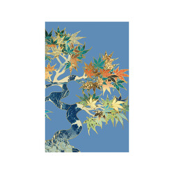 EDITIONS DU DESASTRE Pepakura - Cahier Mot De Passe - Erable