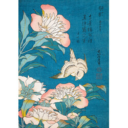 EDITIONS DU DESASTRE Le Musée - Cahier A5 48p ligné - Hokusai - Canari