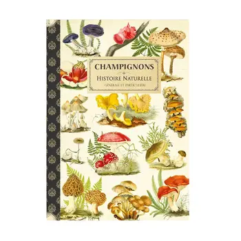 Gt Cahier Imagier 48 Pages 15x21cm - Champignons