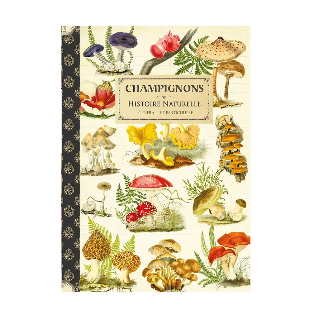 Gt Cahier Imagier 48 Pages 15x21cm - Champignons