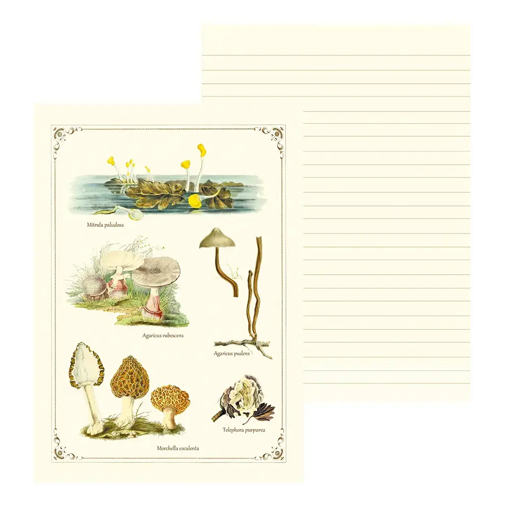 Gt Cahier Imagier 48 Pages 15x21cm - Champignons