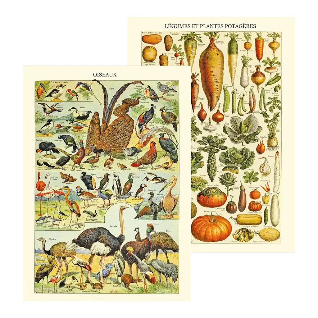 Gt Cahier Imagier 48 Pages 15x21cm - Naturaliste