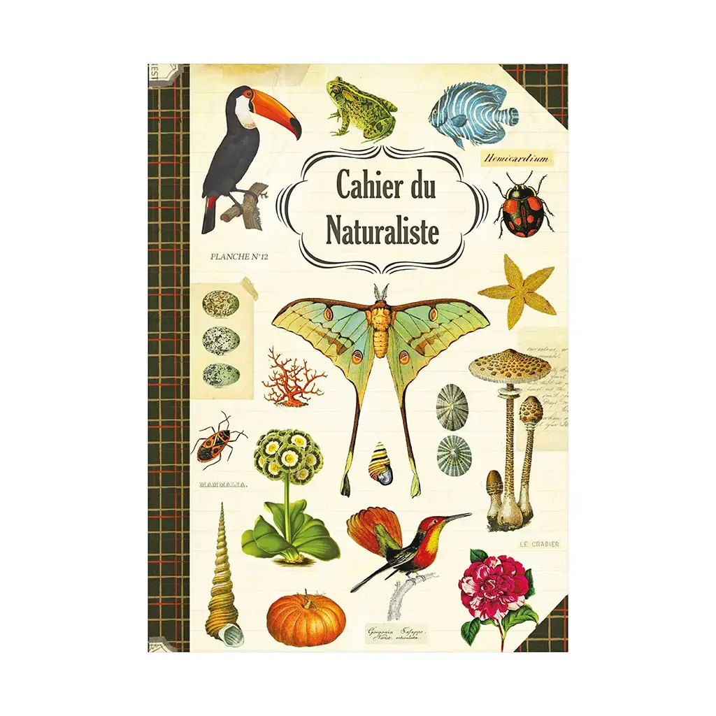 Gt Cahier Imagier 48 Pages 15x21cm - Naturaliste
