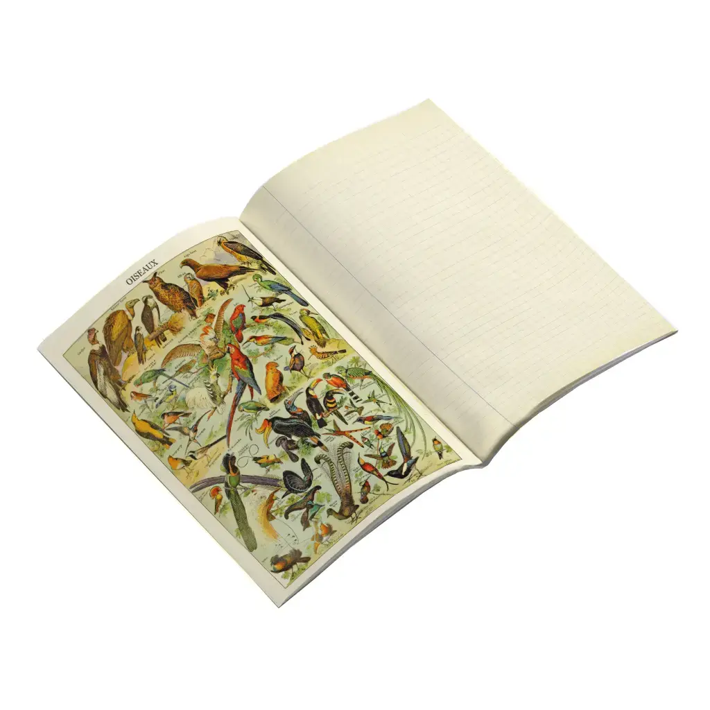 Gt Cahier Imagier 48 Pages 15x21cm - Naturaliste