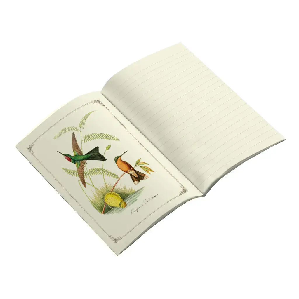 Gt Cahier Imagier 48 Pages 15x21cm - Colibris