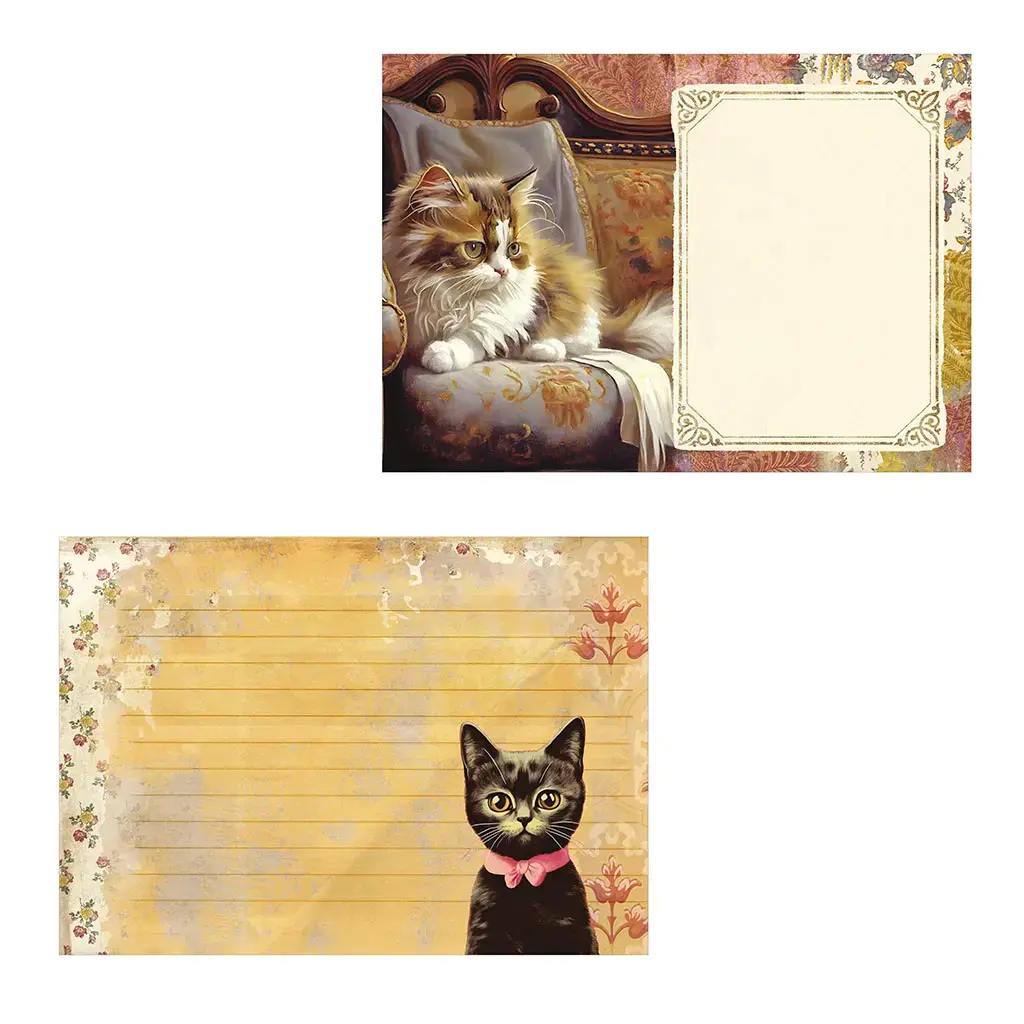 Gt Cahier Illustré 48 Pages 21x15cm - Chats