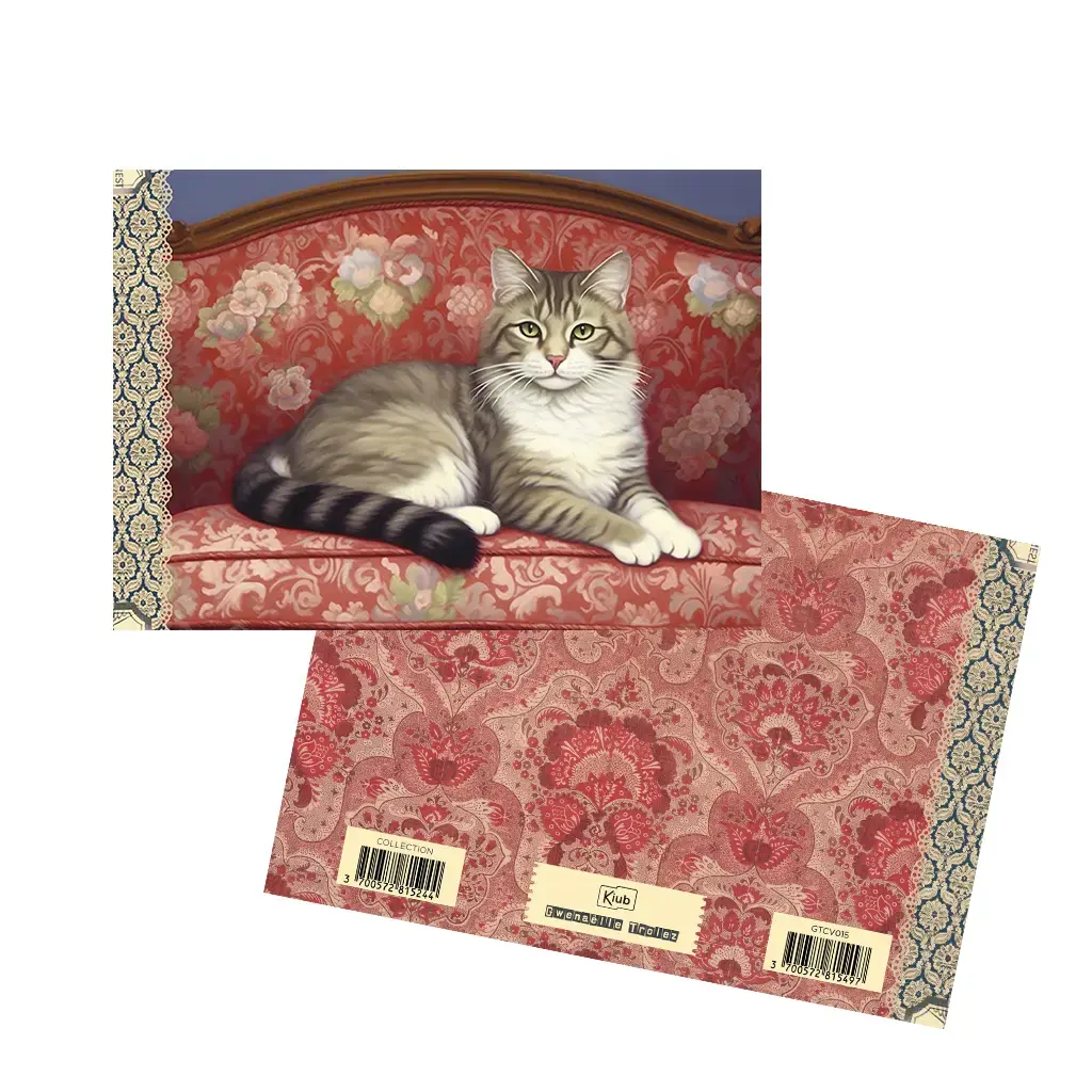 Gt Cahier Illustré 48 Pages 21x15cm - Chats