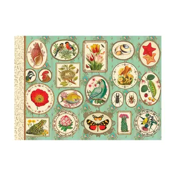 Gt Cahier Illustré 48 Pages 21x15cm - Naturaliste