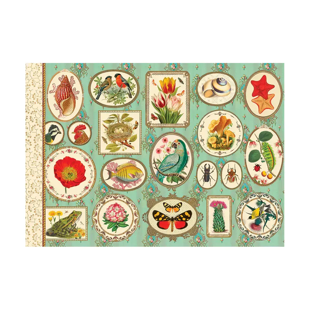 Gt Cahier Illustré 48 Pages 21x15cm - Naturaliste