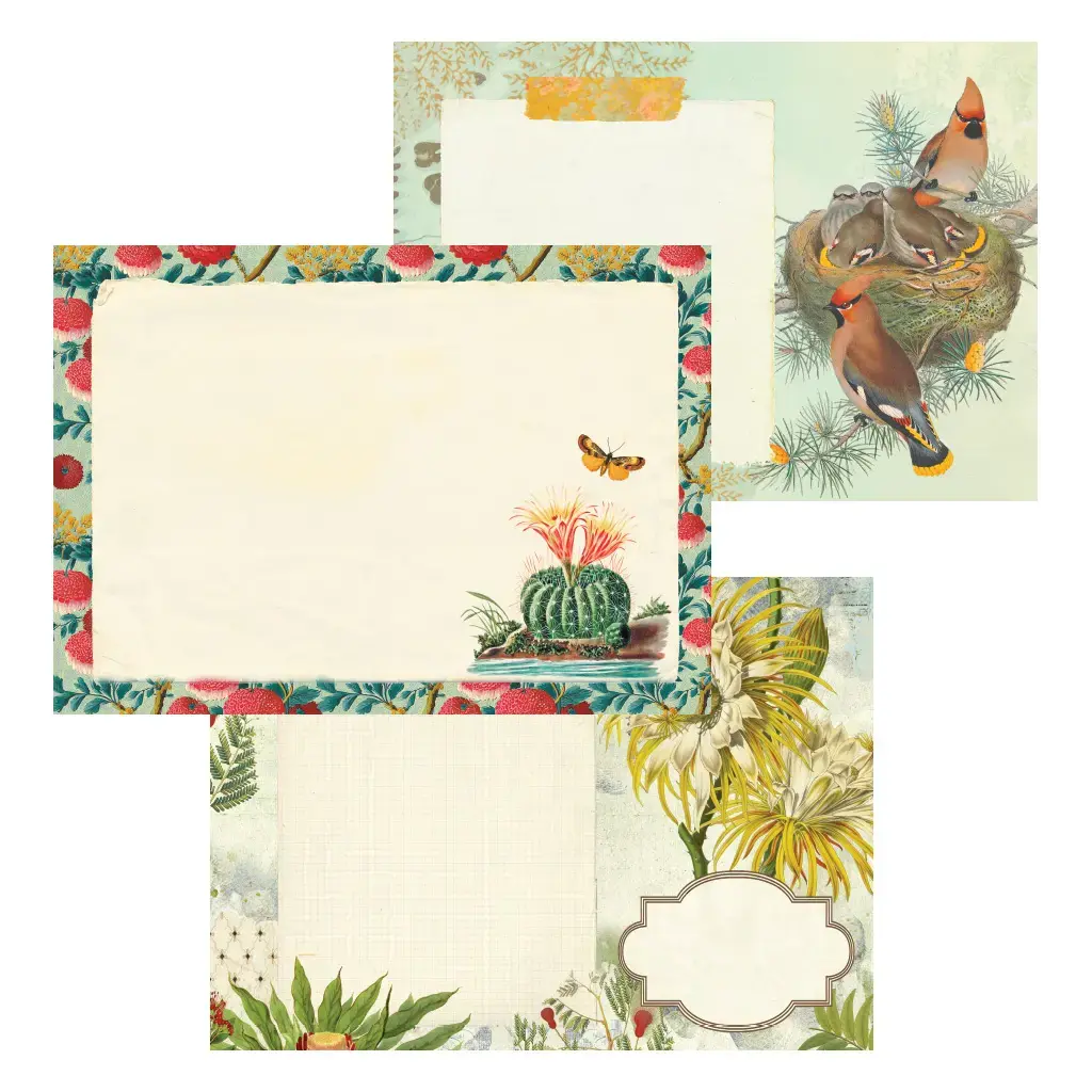 Gt Cahier Illustré 48 Pages 21x15cm - Naturaliste