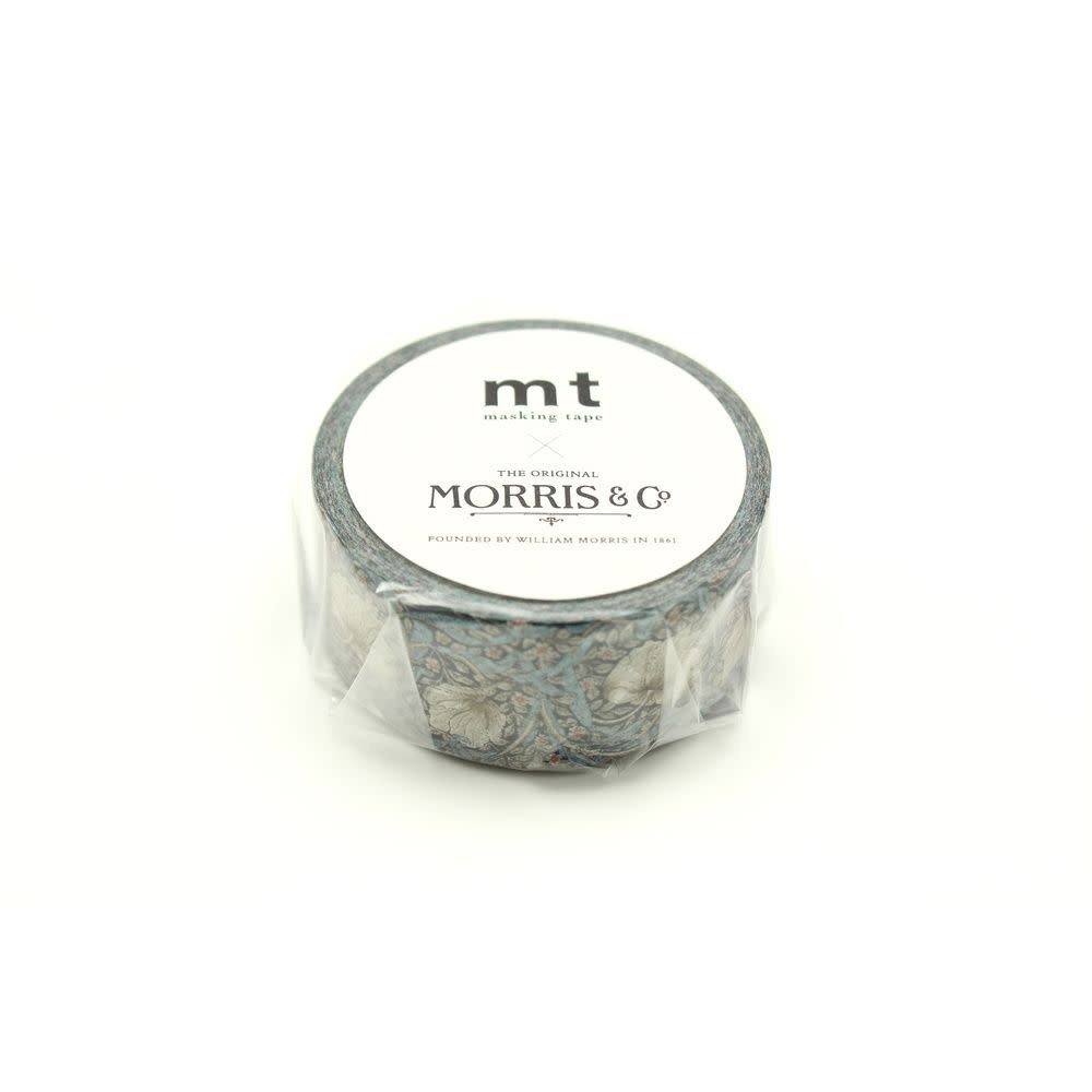 OZ Mt William Morris Mouron / Pimpernel -