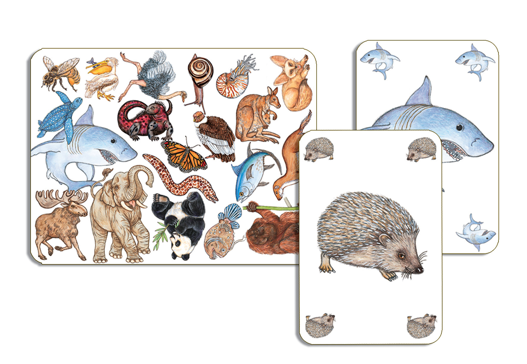 DJECO Jeux De Cartes Zanimatch