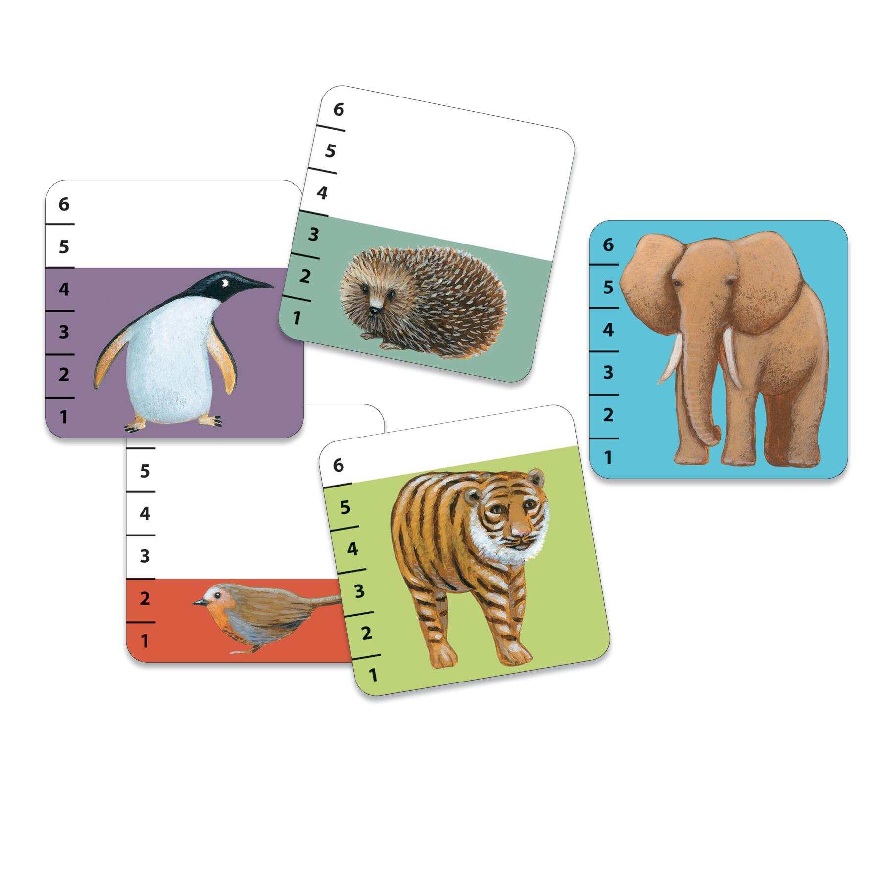 DJECO Jeux De Cartes Batanimo