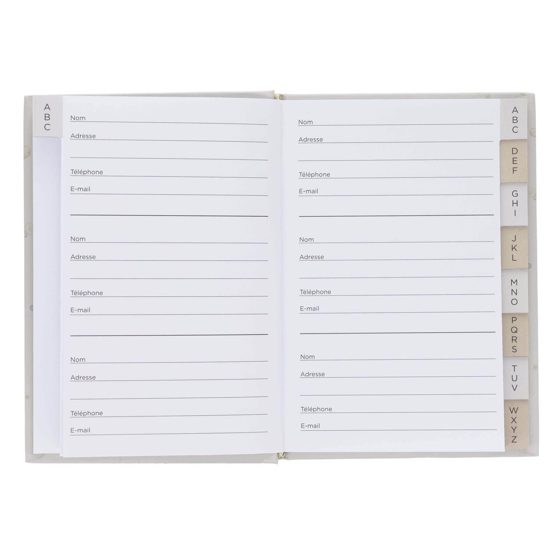 KIUB Répertoire Bug Art Chaton Branche 14.5x1.5x10.5cm